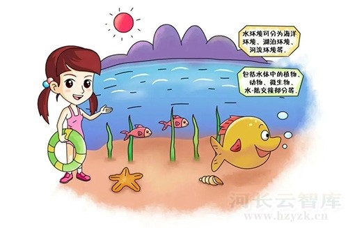 a747e501ddb4e8987f71e4f968402caa_20234251461639218jae.jpg