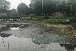 无锡惠山区：提升河长制管理水平，加快推进黑臭水体治理