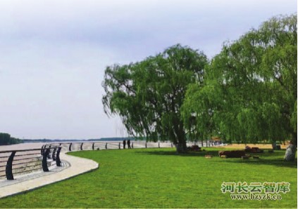 山东省滨州市滨城区:清理整治组合拳促进高质量发展