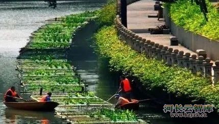 生态浮岛技术解析