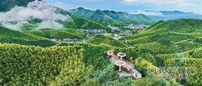 “绿水青山就是金山银山”理念提出二十年——为世界生态文明发展贡献中国智慧