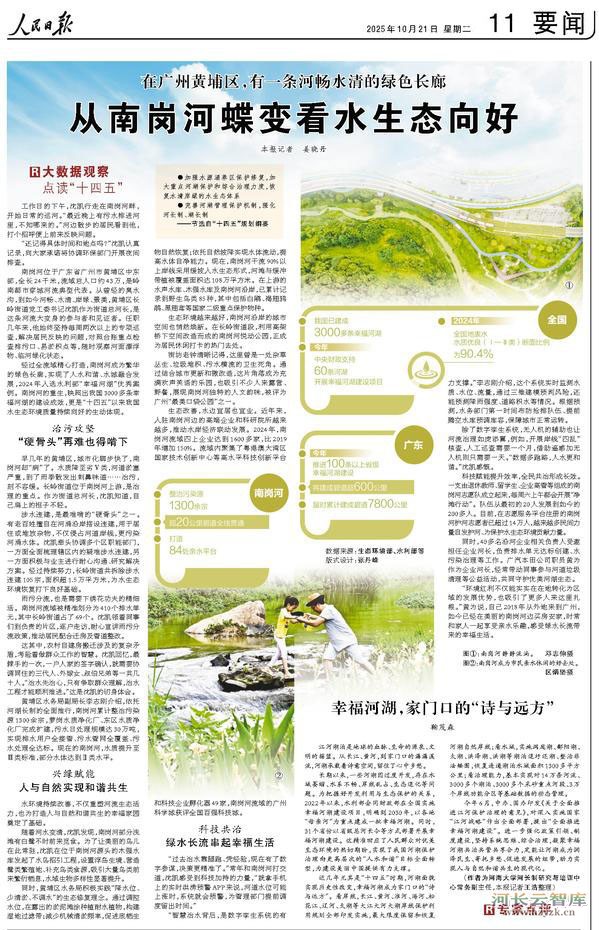 从南岗河蝶变看水生态向好