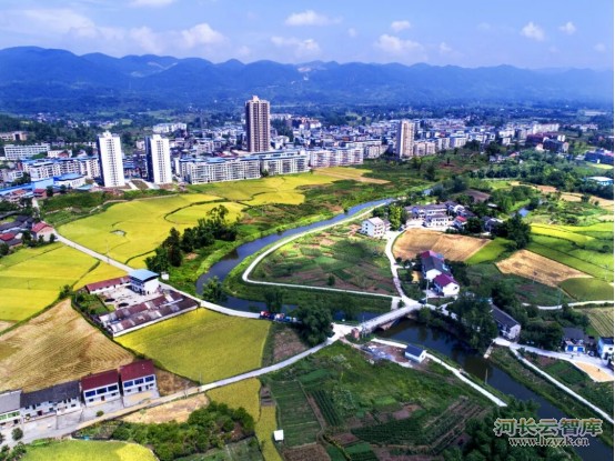 2025年幸福河湖优秀案例十九：庆市桃花溪