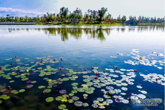 2025年幸福河湖优秀案例二十八：新疆生产建设兵团伊犁河（第四师段）