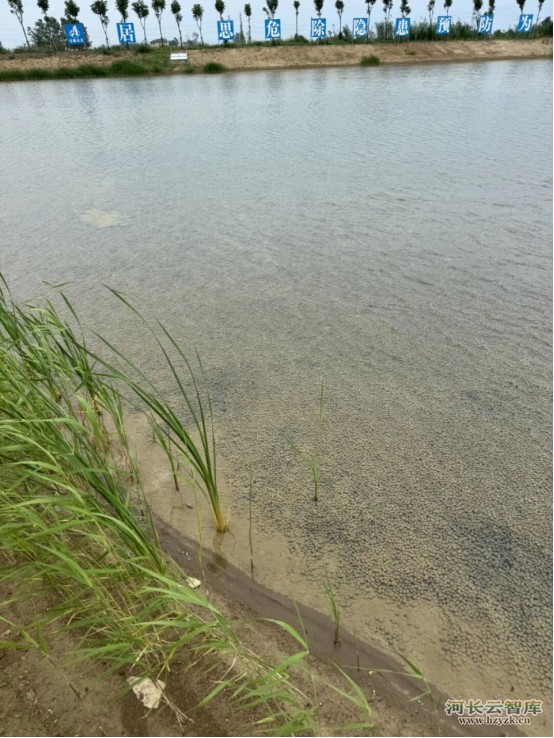 流域怎么治？掌握系统思路轻松解决