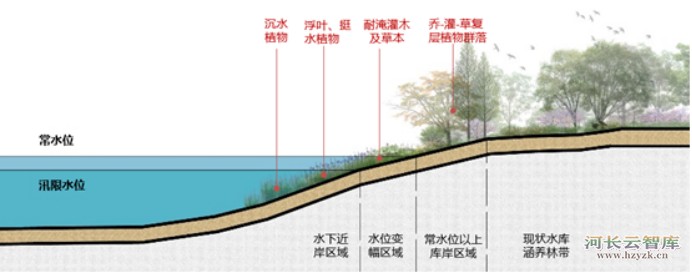 岸线缓冲带在流域治理中的应用