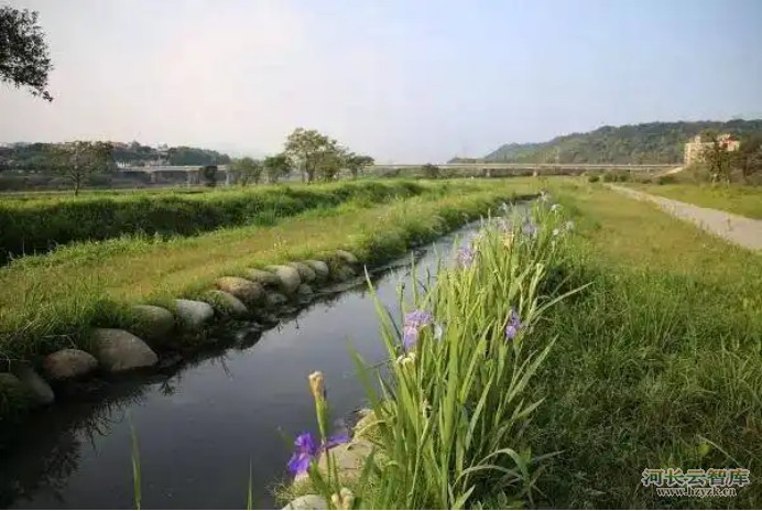 详解生态沟渠在流域治理中的应用