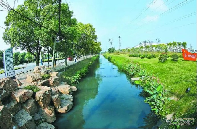 别让河流“断气”！一文读懂生态基流，守护河湖的“生命底线”