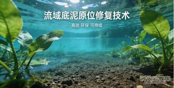 流域底泥原位修复：不挖泥、不扰动，轻松搞定内源污染！