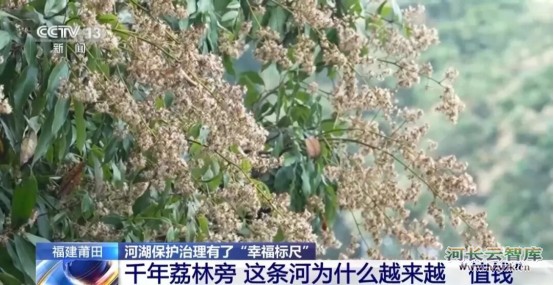 我国首部幸福河湖国家标准5月1日起实施