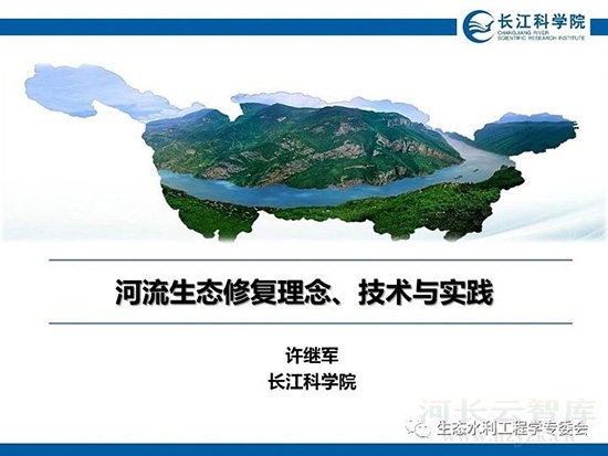 河流生态修复理念、技术与实践