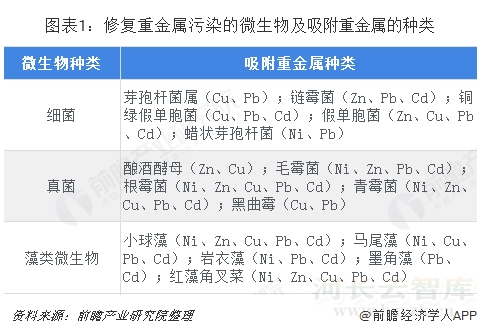 生态修复行业：行业发展现状与修复技术创新